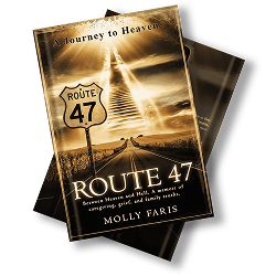 Route 47: A Journey to Heaven (Hardcover)